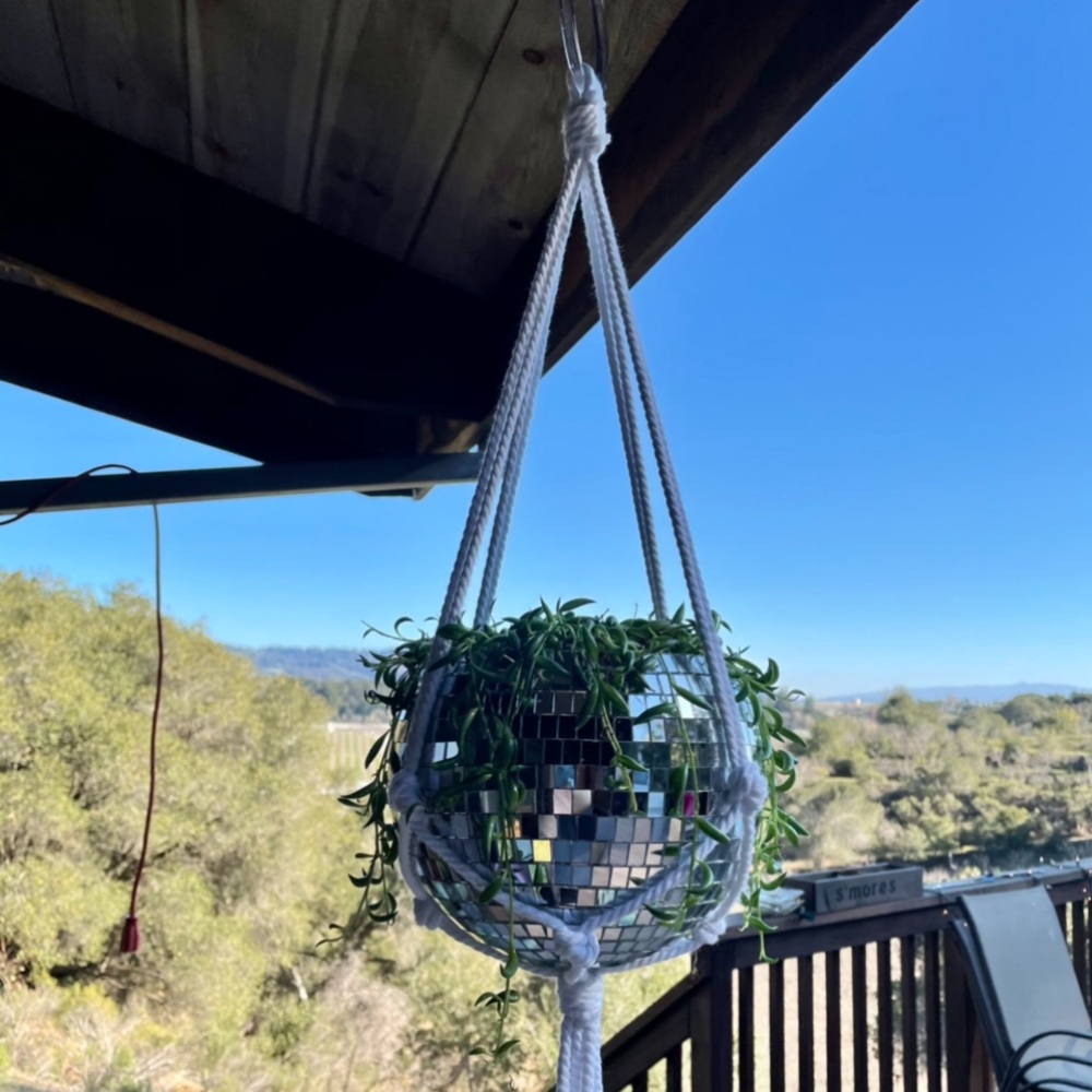 Disco ball planter